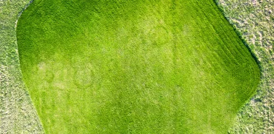 What’s the simplest way to track carbon emissions