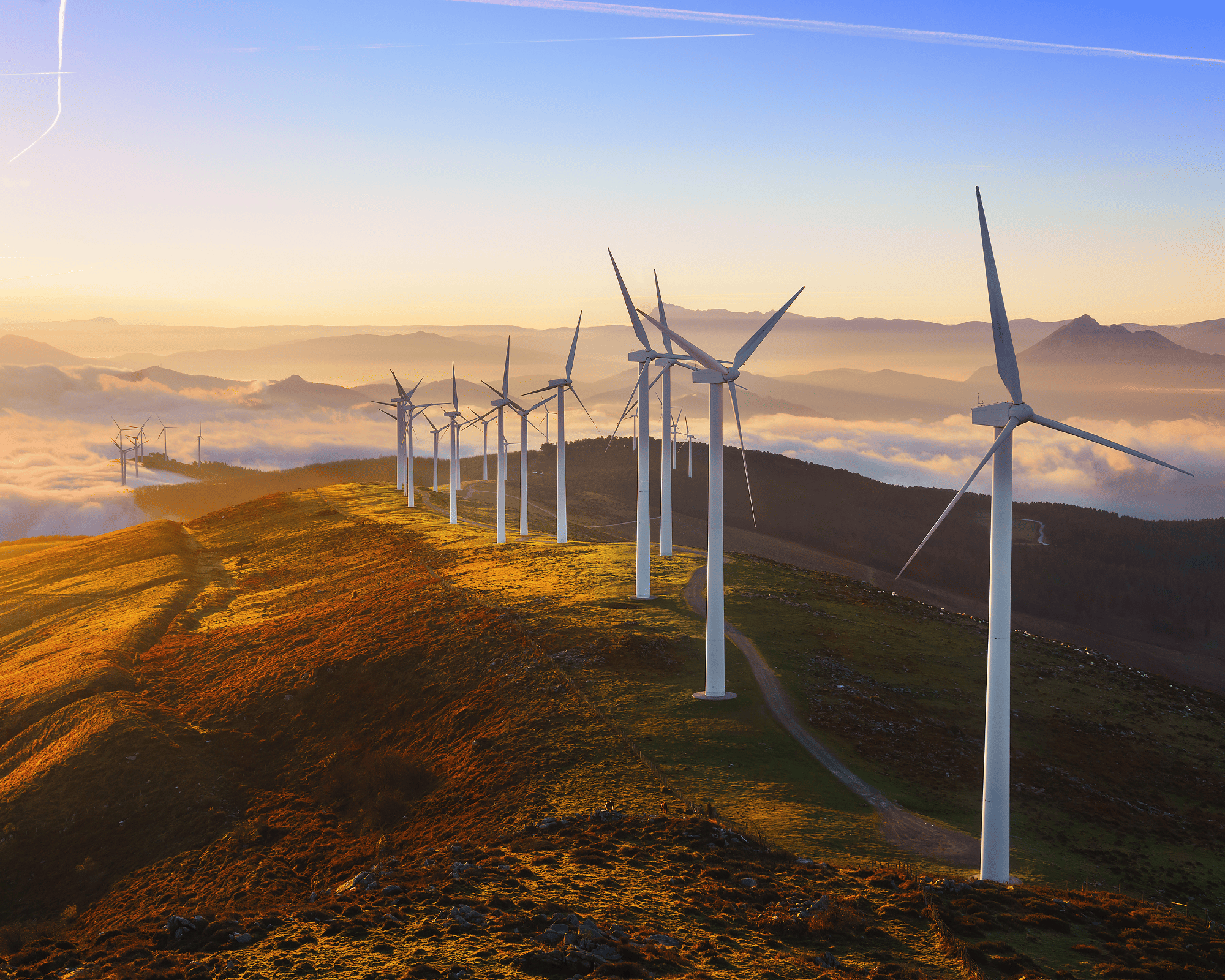 Enviro Capture